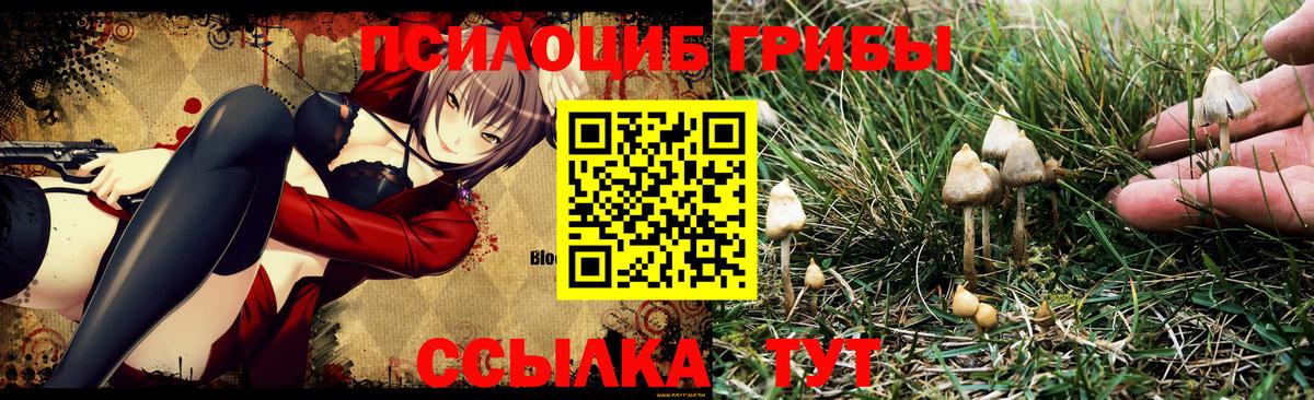 Альметьевск  Галлюциногенные грибы MAGIC MUSHROOMS  Вход с VPN 