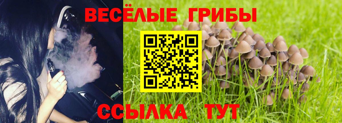Галлюциногенные грибы Magic Shrooms Альметьевск